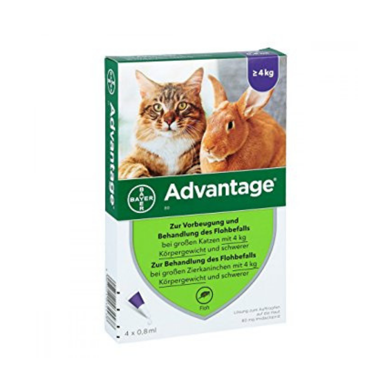 ADVANTAGE 80 PISICĂ/IEPURE - peste 4 Kg - pipete x4 - Hermannvet Magazin